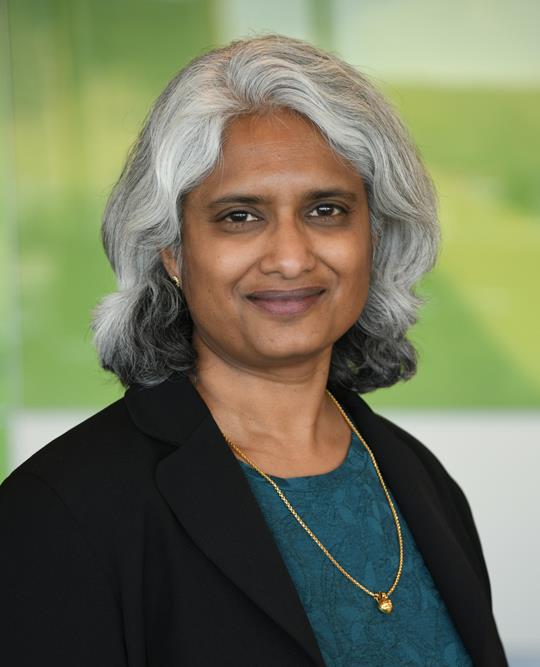 Vijaya Knight, PhD